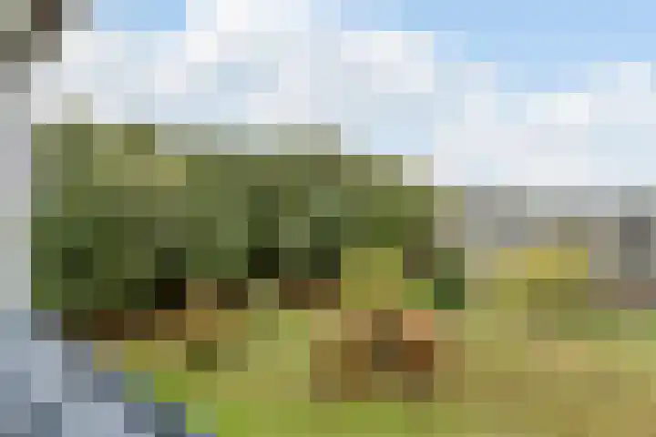 Hertogenlaan 138 Oosterhout thumbnail 26
