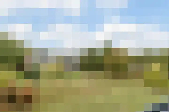 Hertogenlaan 138 Oosterhout thumbnail 27