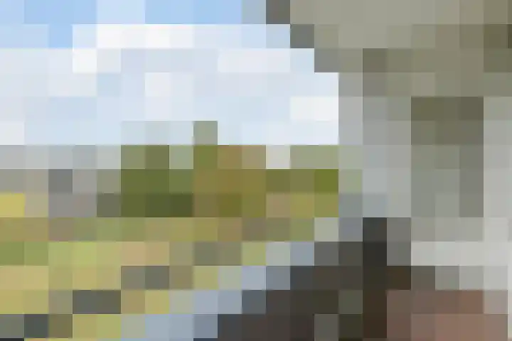 Hertogenlaan 138 Oosterhout thumbnail 28