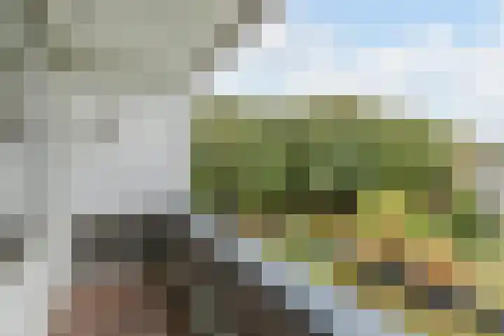Hertogenlaan 138 Oosterhout thumbnail 29
