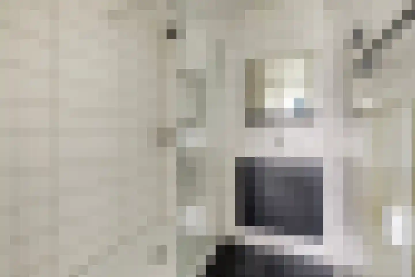 Hertogenlaan 160 Oosterhout thumbnail 22