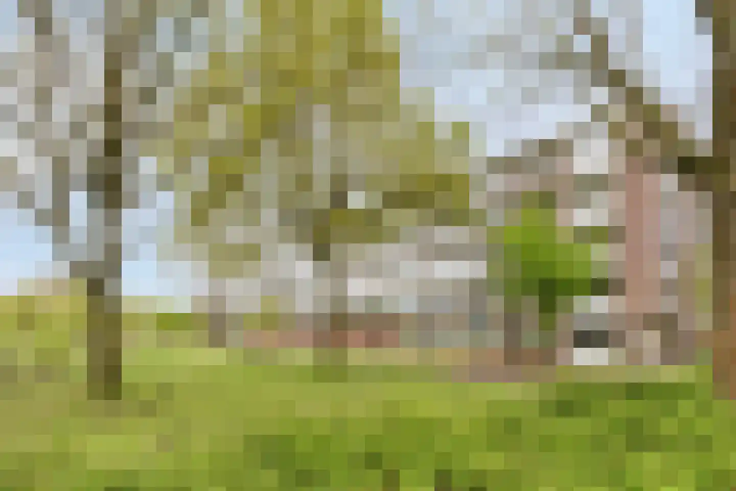 Hertogenlaan 160 Oosterhout thumbnail 29