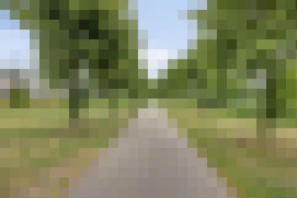 Hertogenlaan 160 Oosterhout thumbnail 33