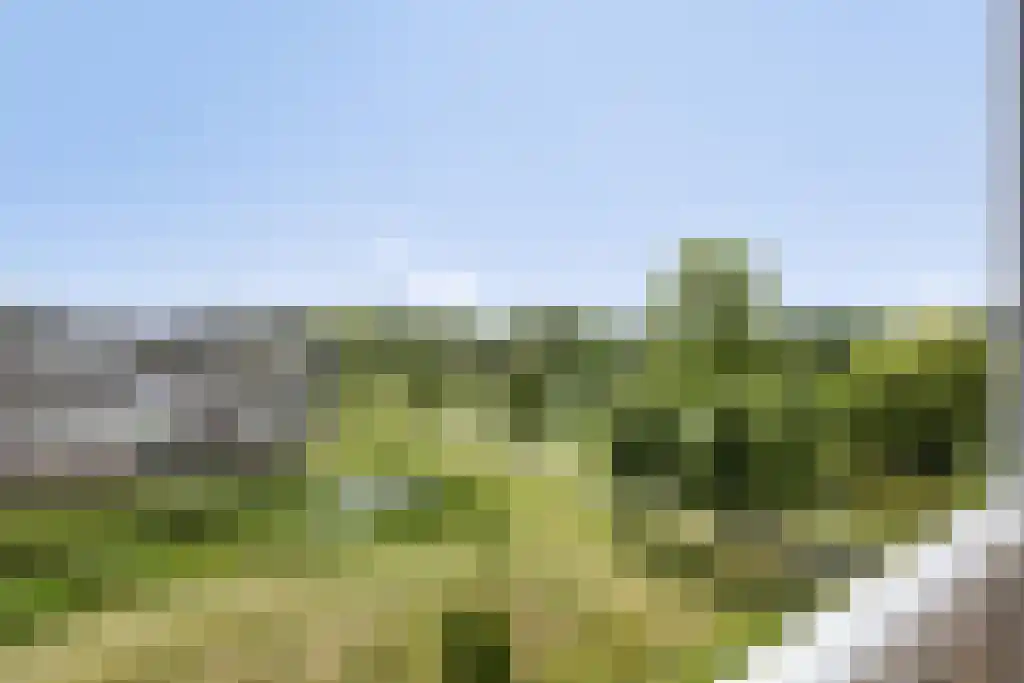 Hertogenlaan 160 Oosterhout thumbnail 34