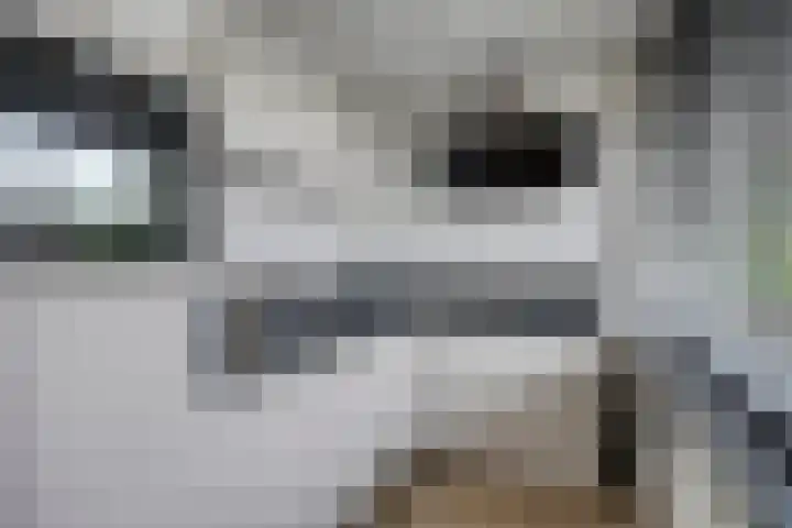 Hertogenlaan 164 Oosterhout thumbnail 10