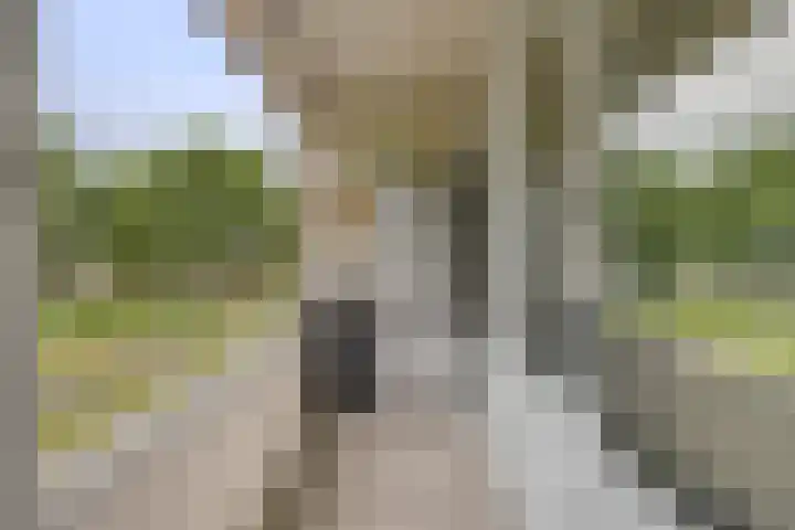 Hertogenlaan 164 Oosterhout thumbnail 20