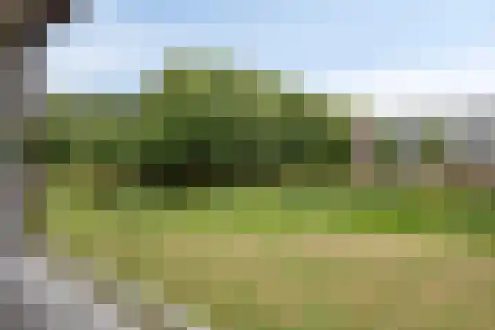 Hertogenlaan 164 Oosterhout thumbnail 22