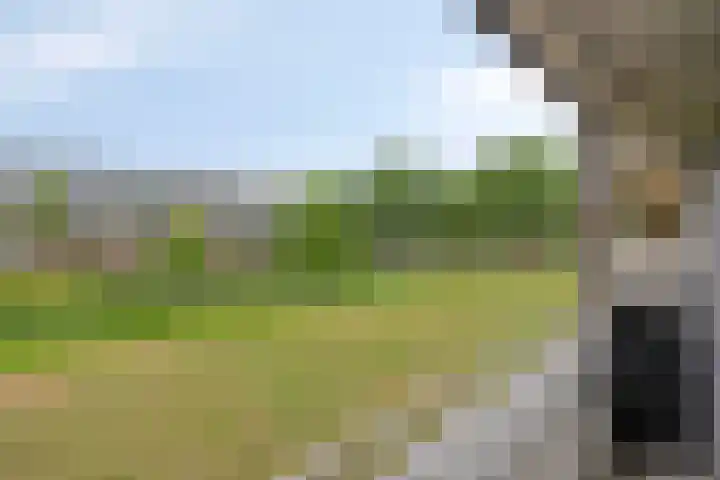 Hertogenlaan 164 Oosterhout thumbnail 23