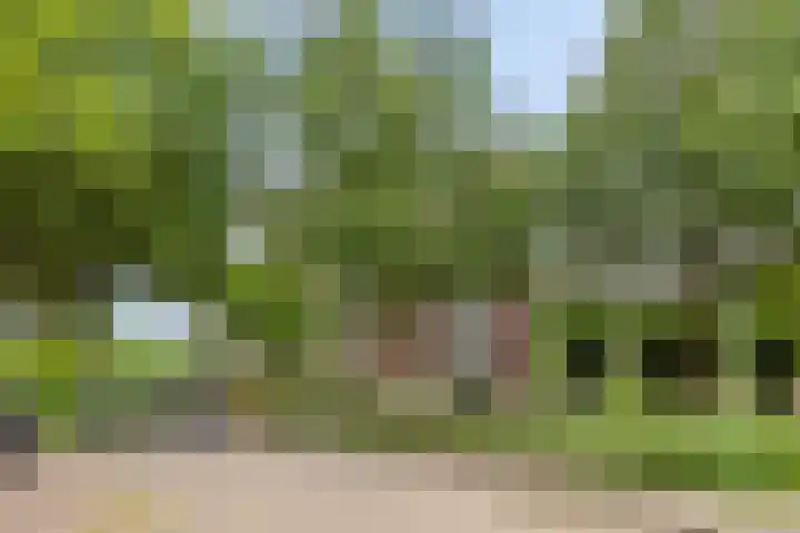 Hertogenlaan 164 Oosterhout thumbnail 24