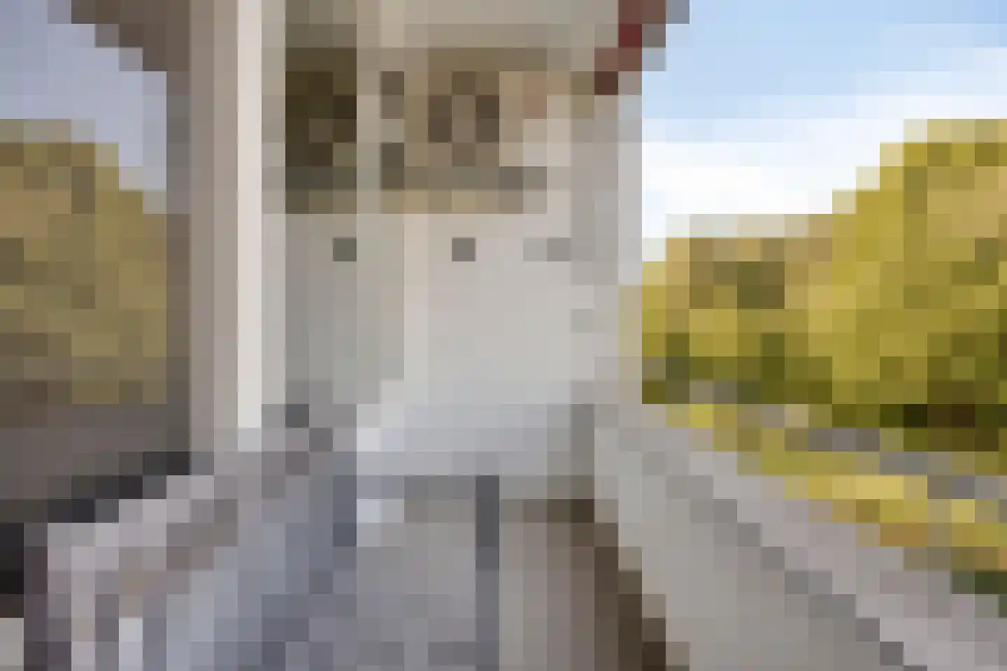 Hertogenlaan 194 Oosterhout thumbnail 14