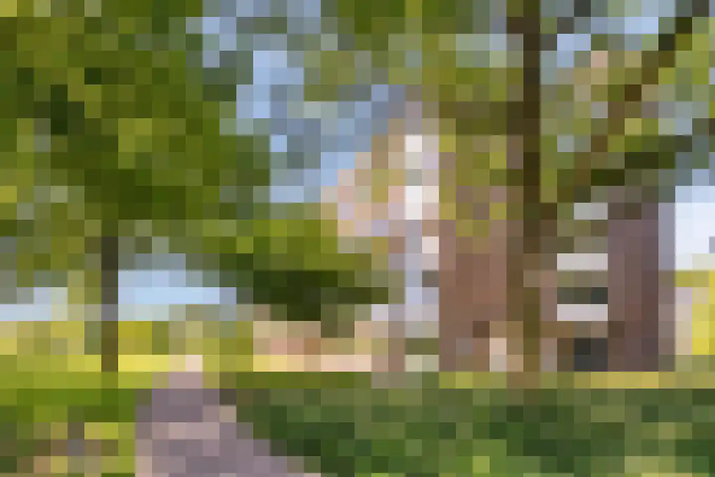 Hertogenlaan 194 Oosterhout thumbnail 30