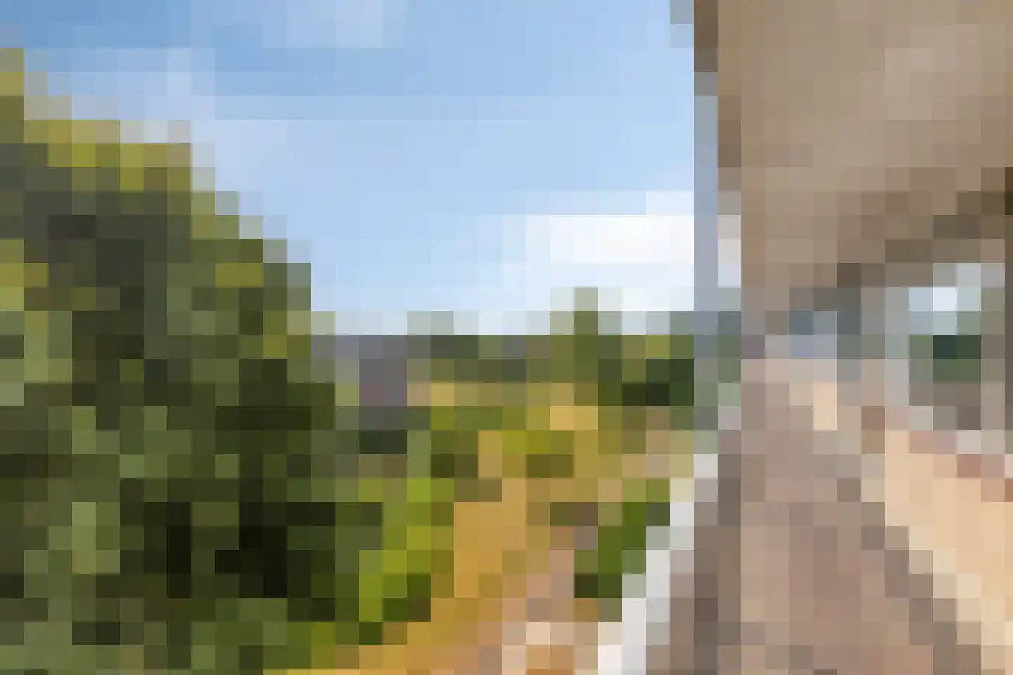 Hertogenlaan 208 Oosterhout thumbnail 20