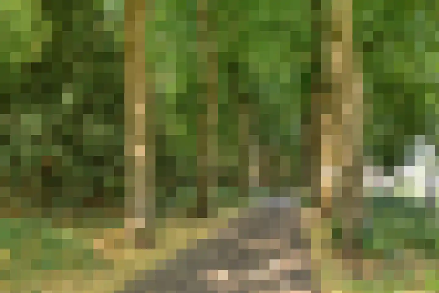 Hertogenlaan 208 Oosterhout thumbnail 26