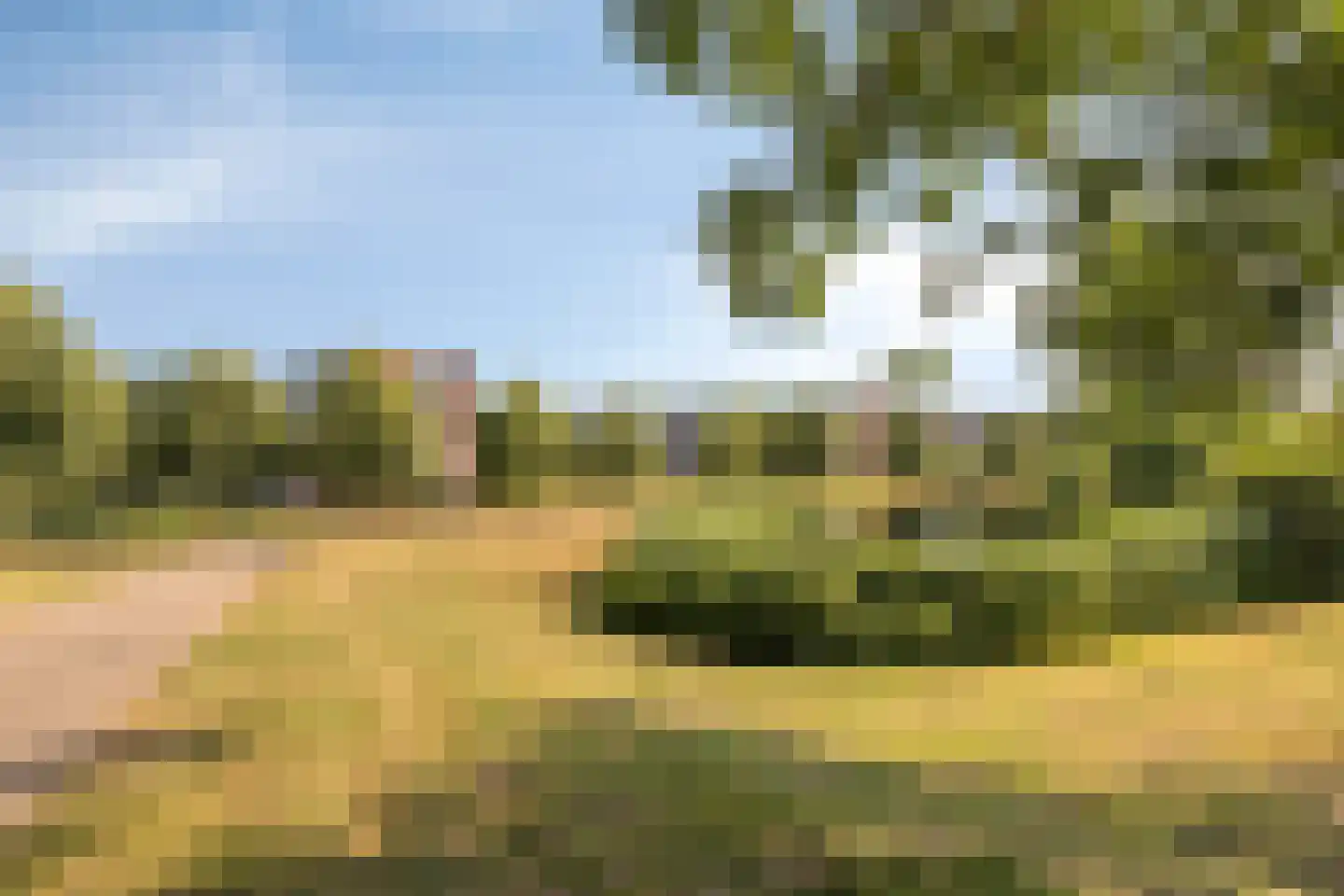 Hertogenlaan 208 Oosterhout thumbnail 28