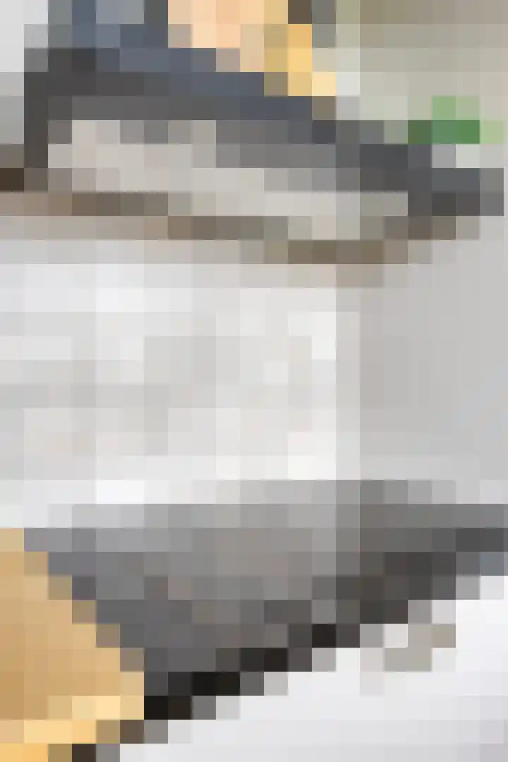 Hertogenlaan 214 Oosterhout thumbnail 10