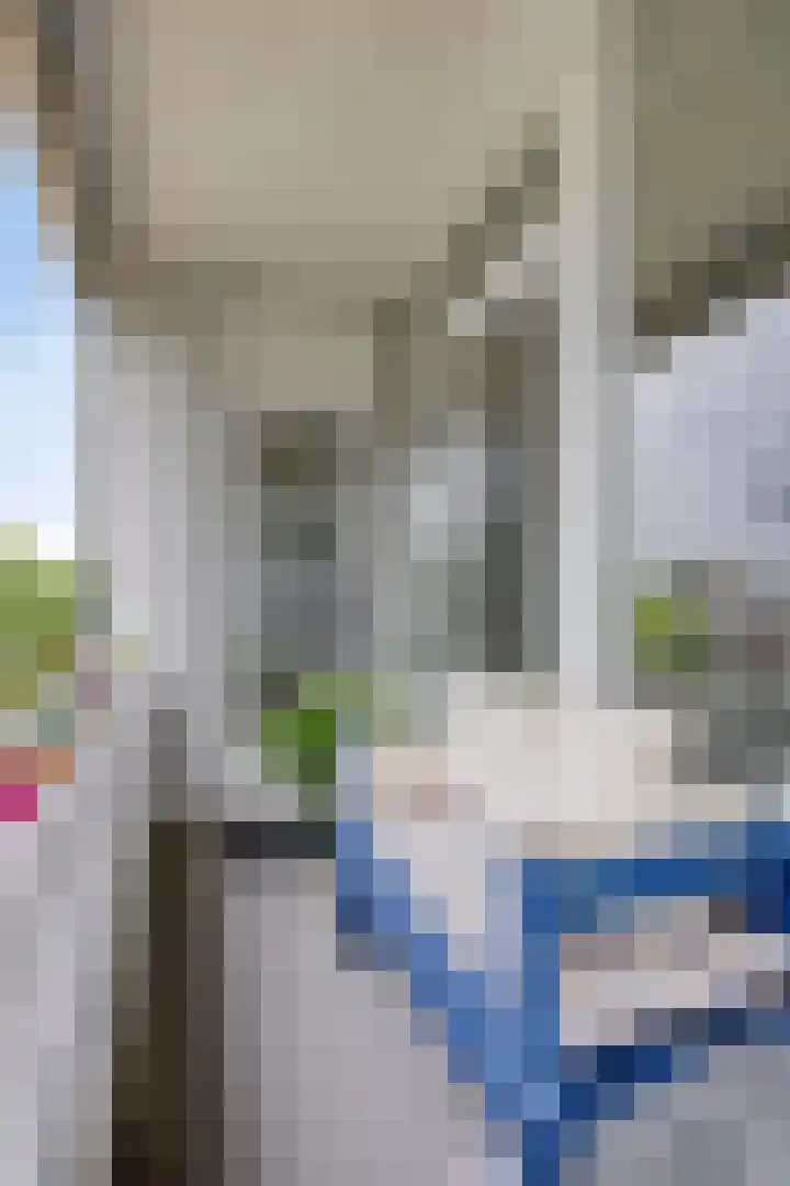 Hertogenlaan 214 Oosterhout thumbnail 19