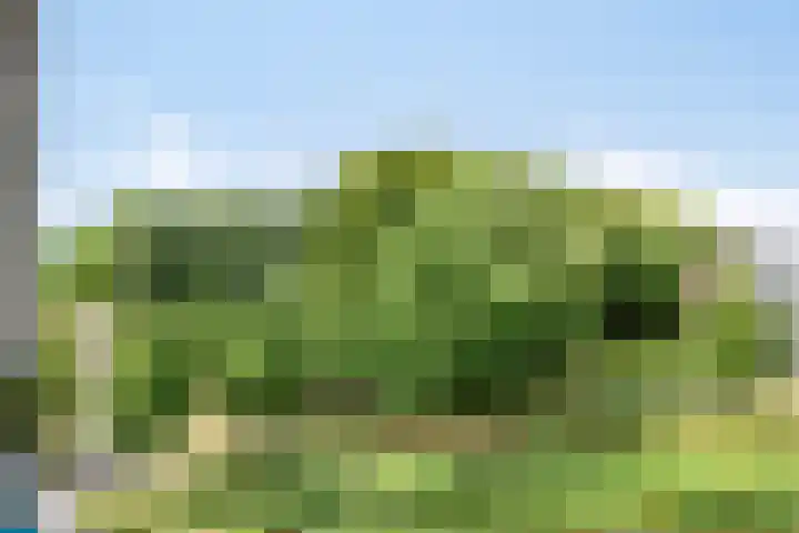 Hertogenlaan 214 Oosterhout thumbnail 20