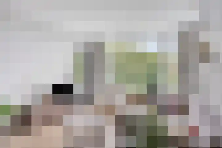 Hertogenlaan 214 Oosterhout thumbnail 7