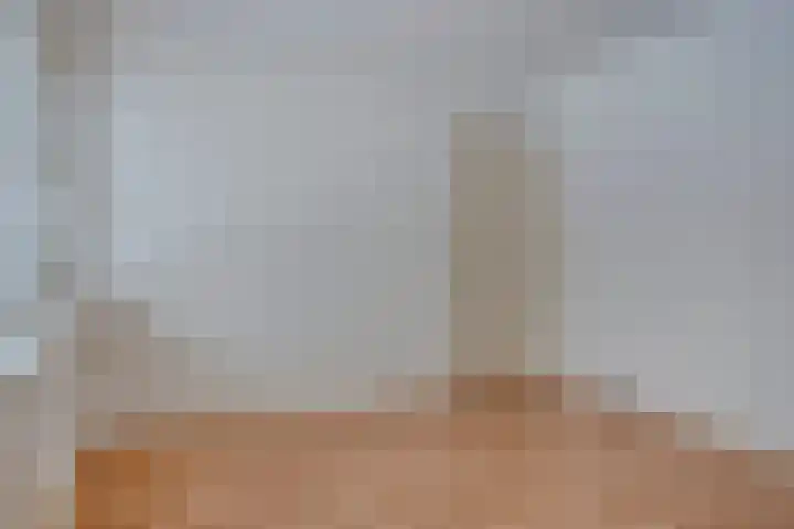 Hertogenlaan 226 Oosterhout thumbnail 14