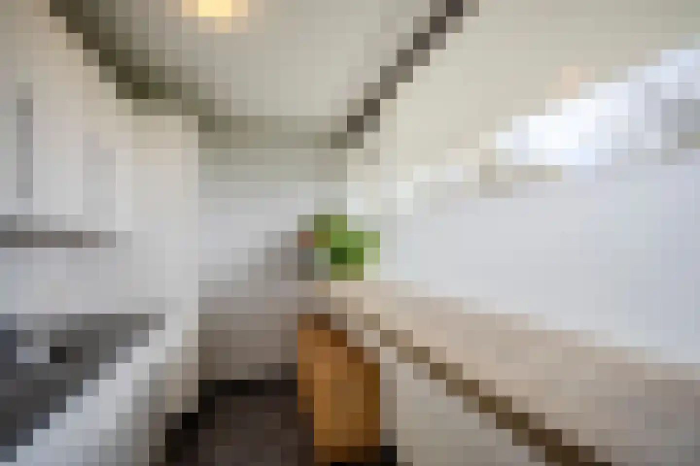 Hertogenlaan 244 Oosterhout thumbnail 10