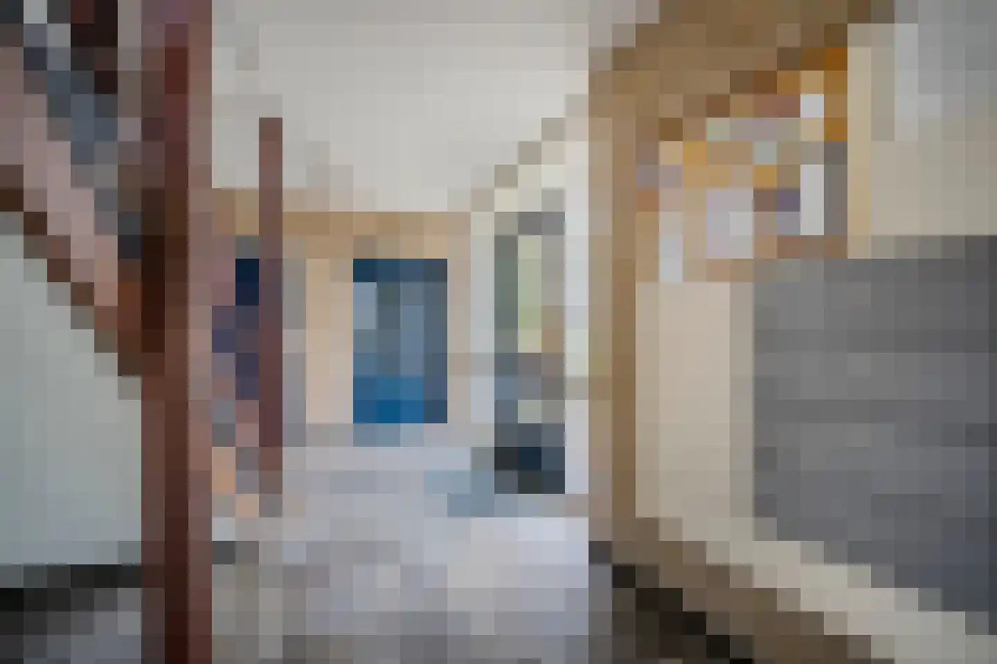 Hertogenlaan 244 Oosterhout thumbnail 33