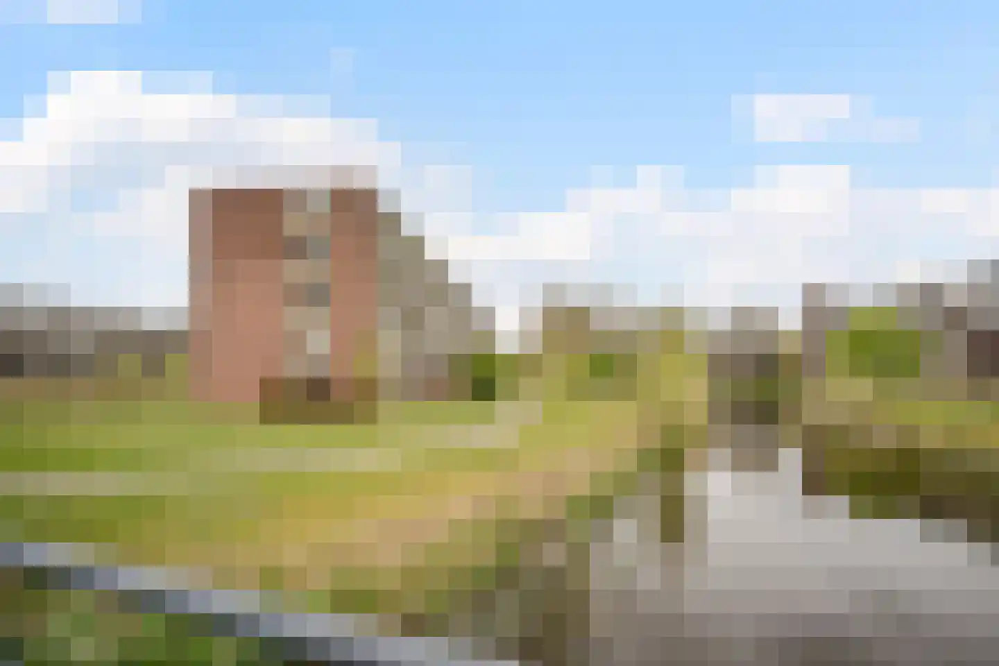 Hertogenlaan 244 Oosterhout thumbnail 35