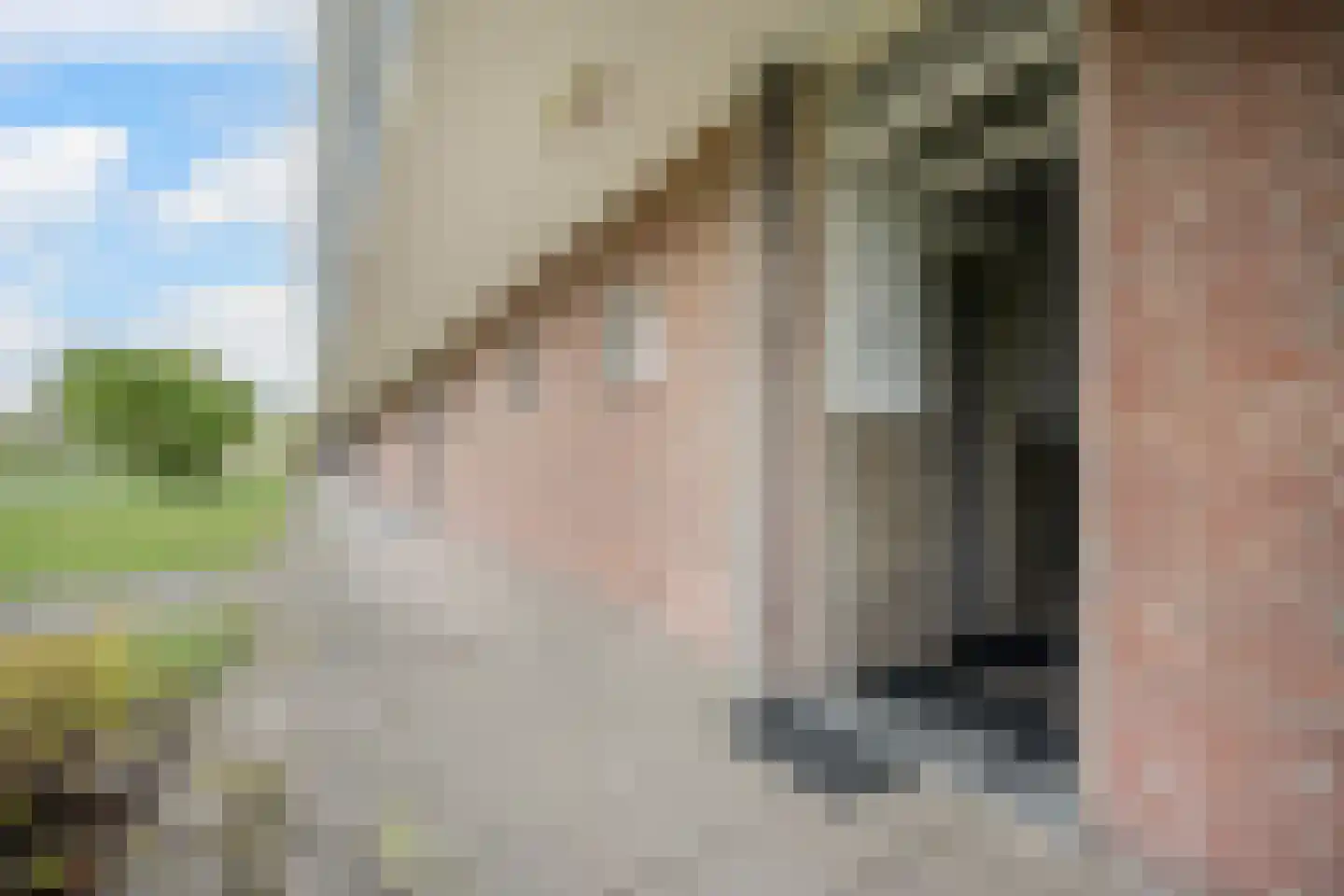 Hertogenlaan 244 Oosterhout thumbnail 38