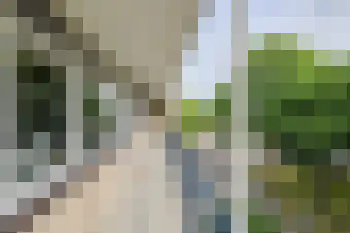 Hertogenlaan 258 Oosterhout thumbnail 11