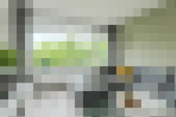 Hertogenlaan 258 Oosterhout thumbnail 13
