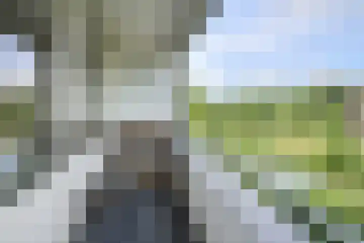 Hertogenlaan 258 Oosterhout thumbnail 21