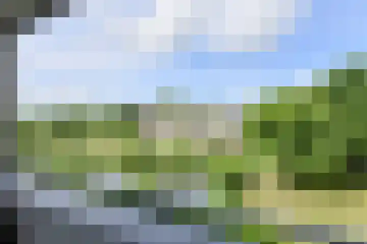Hertogenlaan 258 Oosterhout thumbnail 22