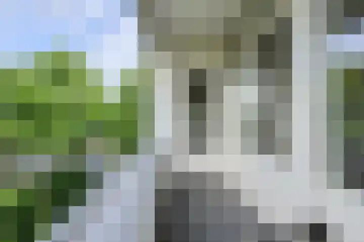 Hertogenlaan 258 Oosterhout thumbnail 23
