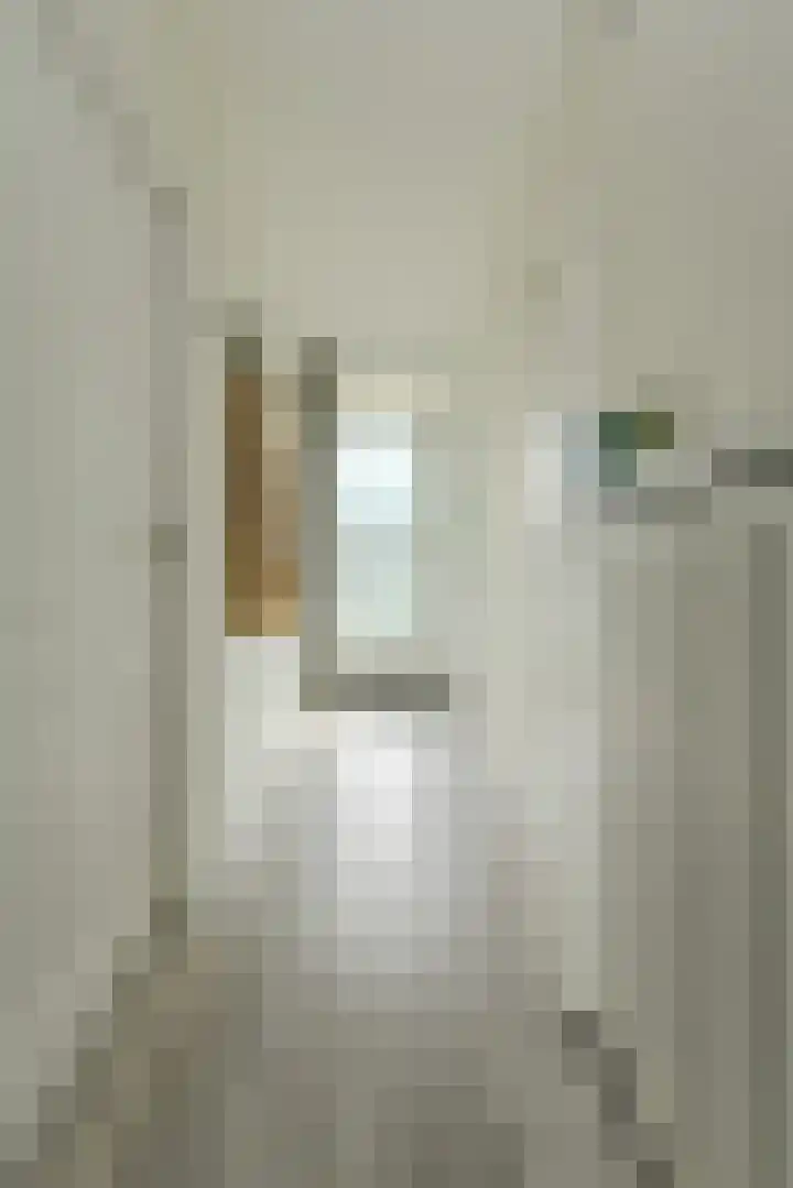 Hertogenlaan 258 Oosterhout thumbnail 24