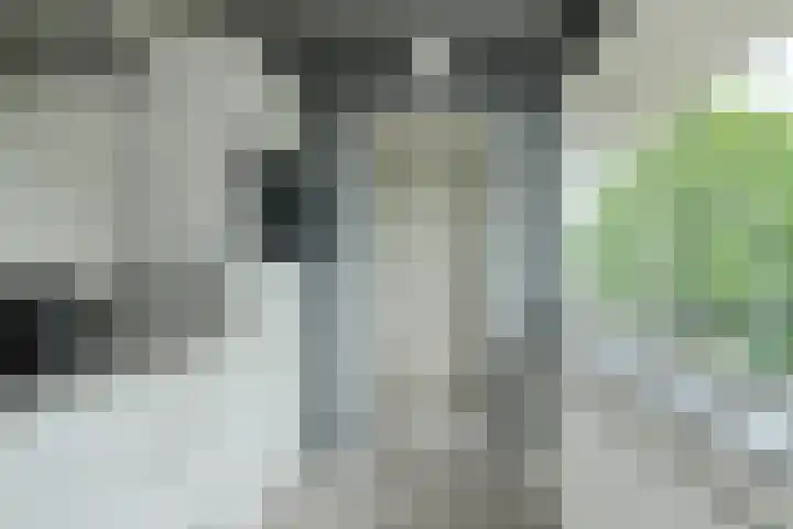 Hertogenlaan 258 Oosterhout thumbnail 26