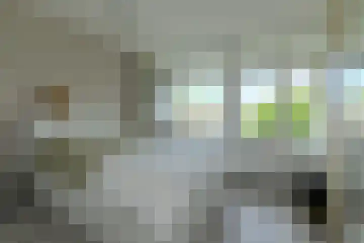 Hertogenlaan 258 Oosterhout thumbnail 27