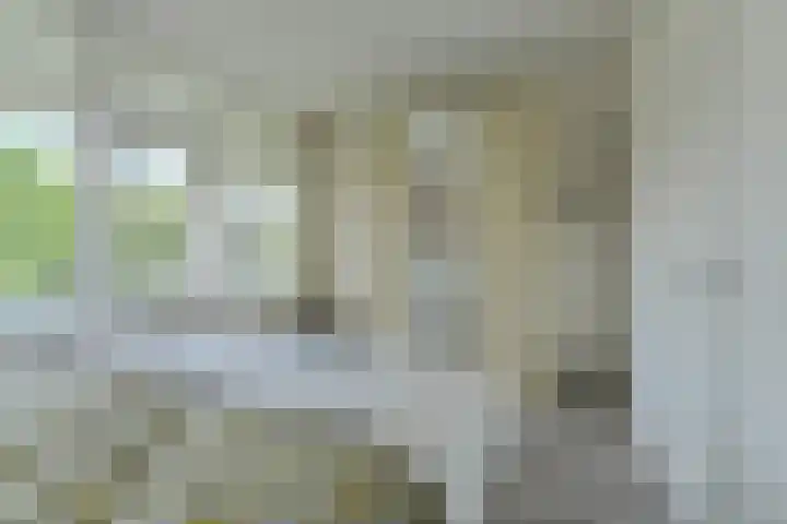 Hertogenlaan 258 Oosterhout thumbnail 30