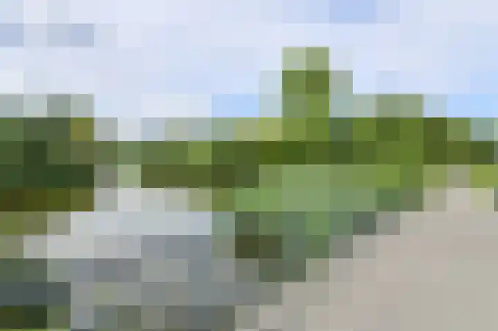Hertogenlaan 258 Oosterhout thumbnail 36