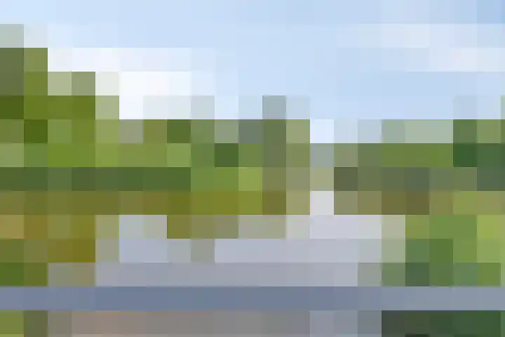 Hertogenlaan 262 Oosterhout thumbnail 10