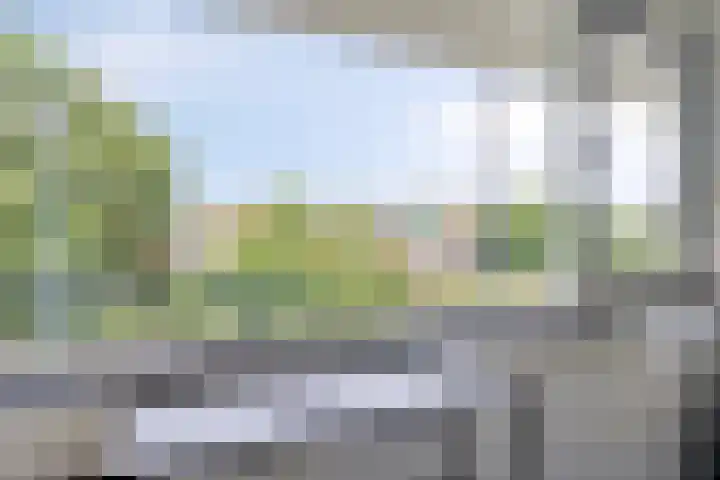 Hertogenlaan 262 Oosterhout thumbnail 13
