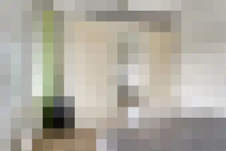 Hertogenlaan 262 Oosterhout thumbnail 17