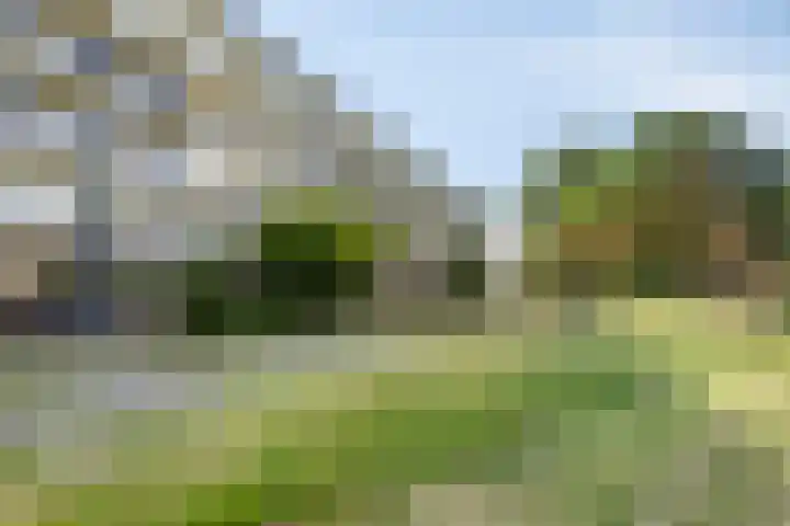Hertogenlaan 262 Oosterhout thumbnail 27