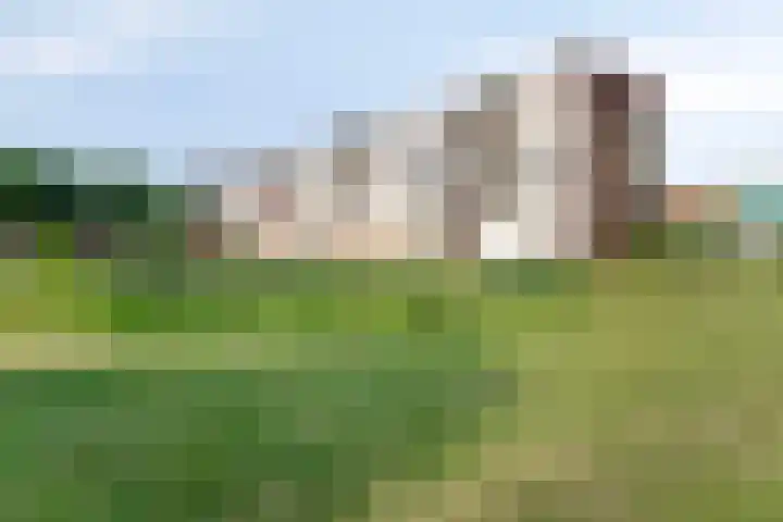 Hertogenlaan 262 Oosterhout thumbnail 28
