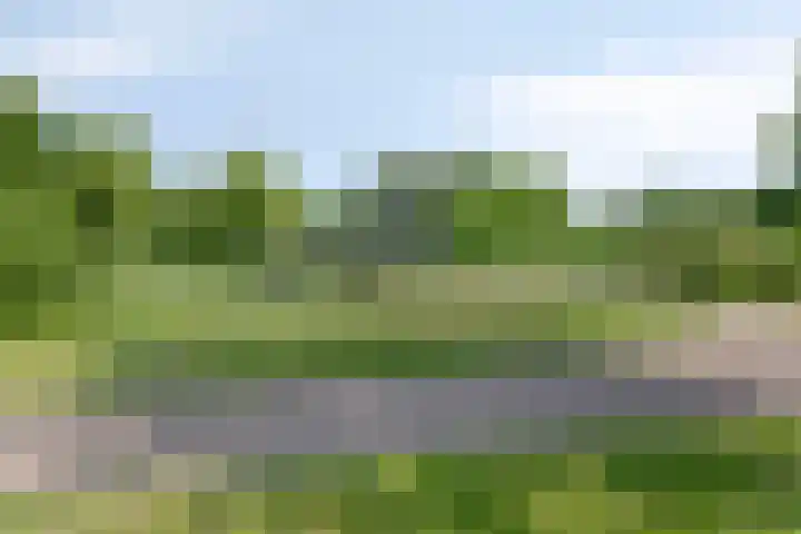 Hertogenlaan 262 Oosterhout thumbnail 29