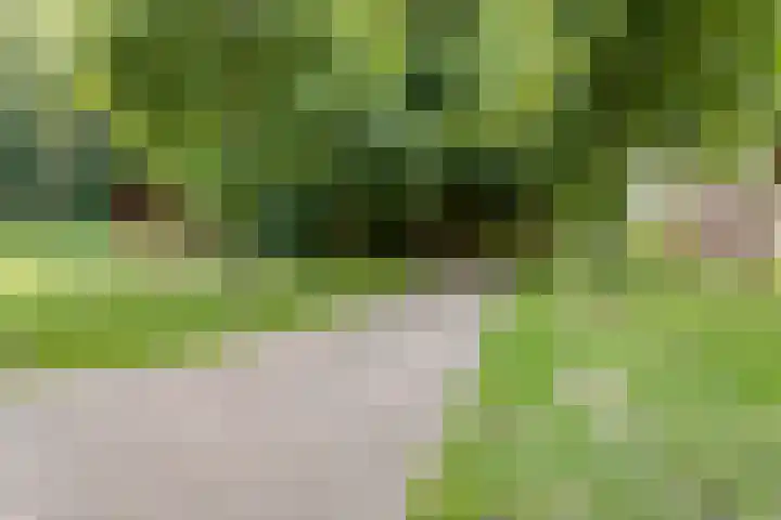 Hertogenlaan 262 Oosterhout thumbnail 31