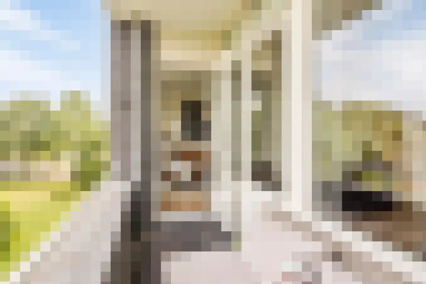Hertogenlaan 266 Oosterhout thumbnail 7