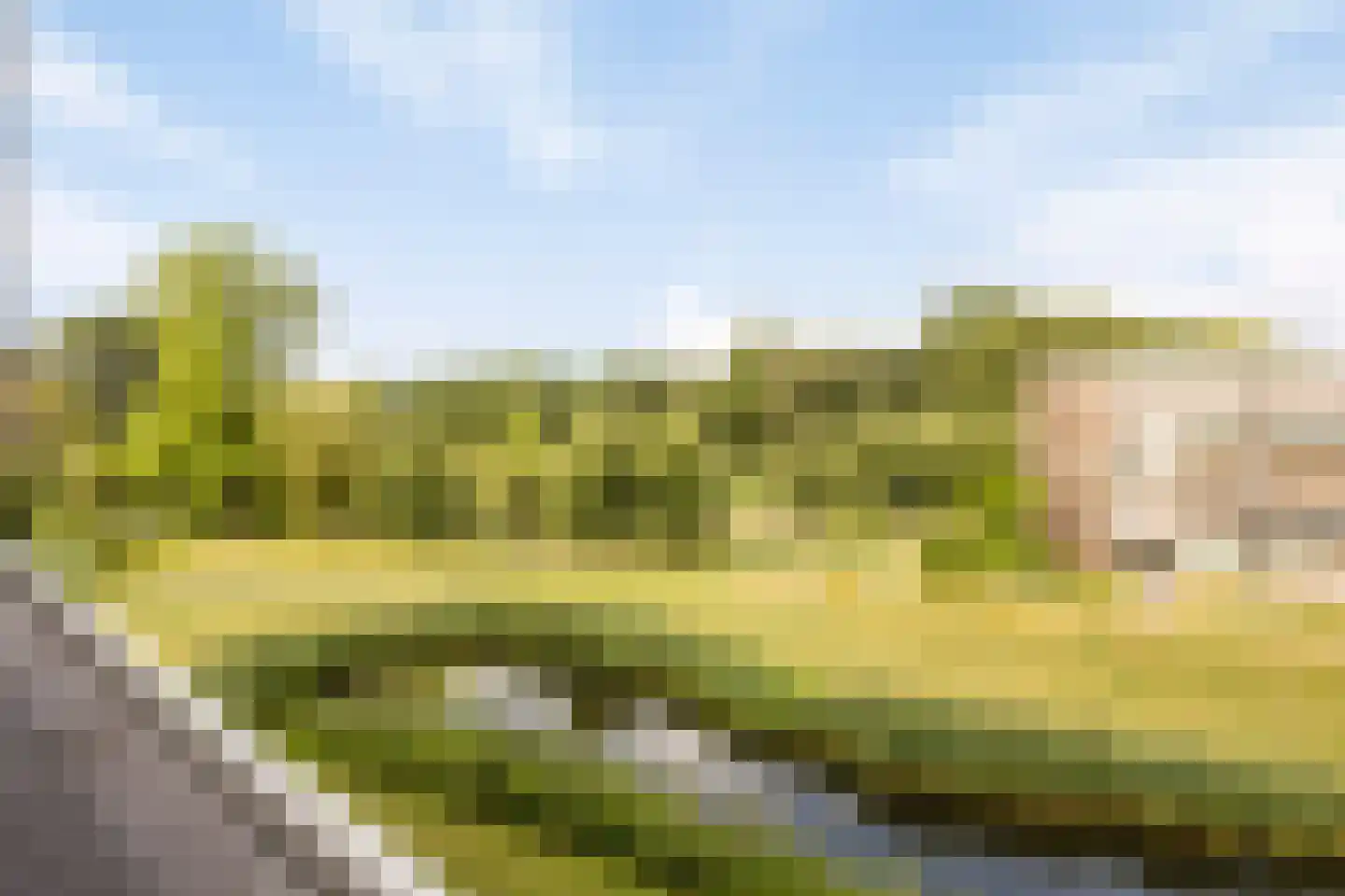 Hertogenlaan 266 Oosterhout thumbnail 8