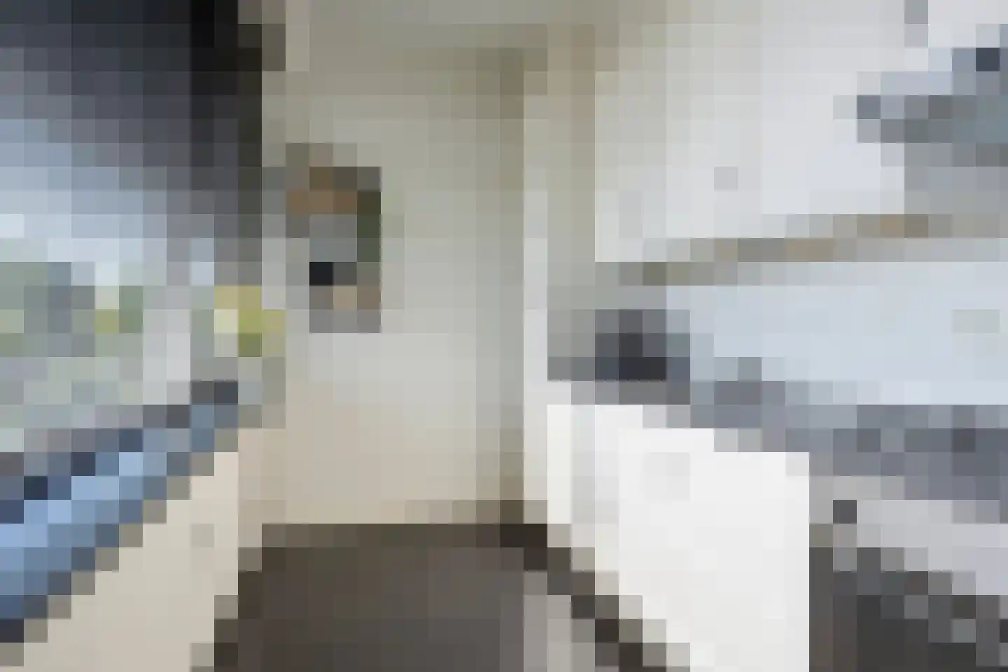 Hertogenlaan 266 Oosterhout thumbnail 9