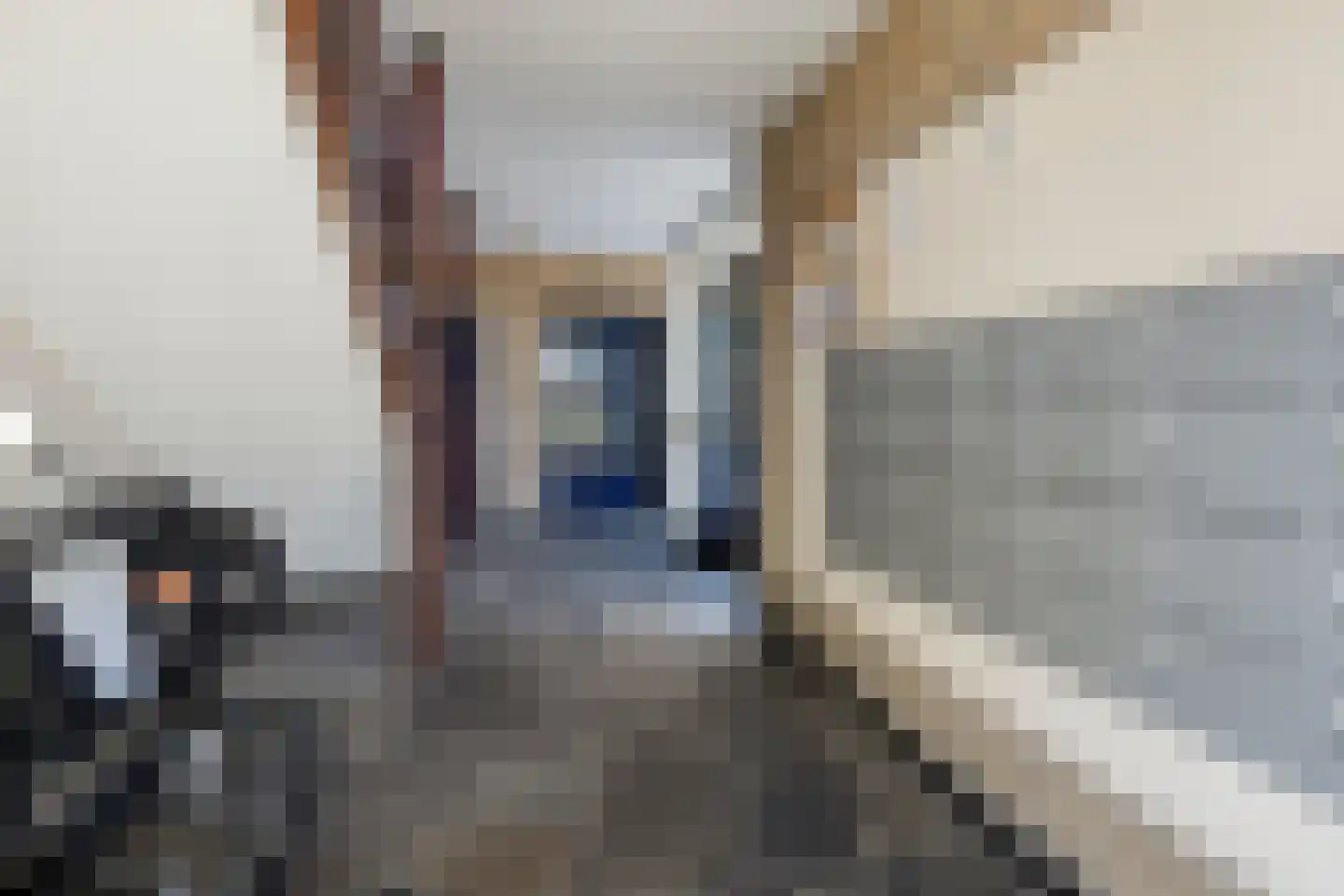 Hertogenlaan 268 Oosterhout thumbnail 23