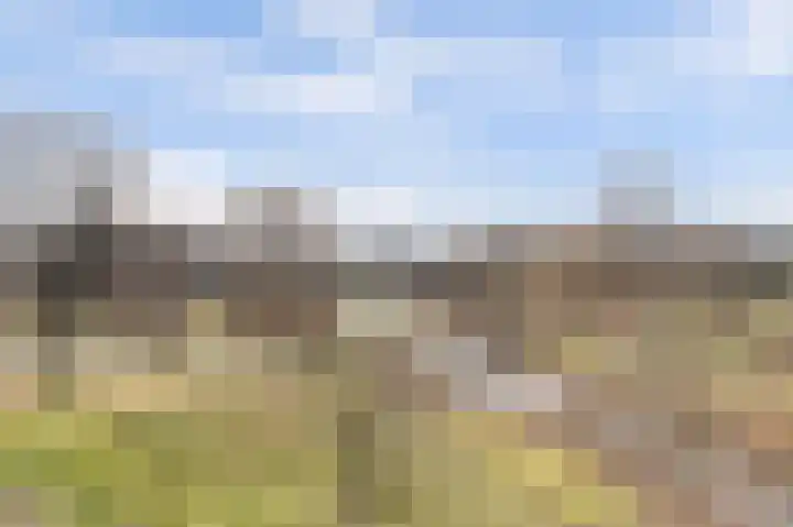 Hertogenlaan 320 Oosterhout thumbnail 25