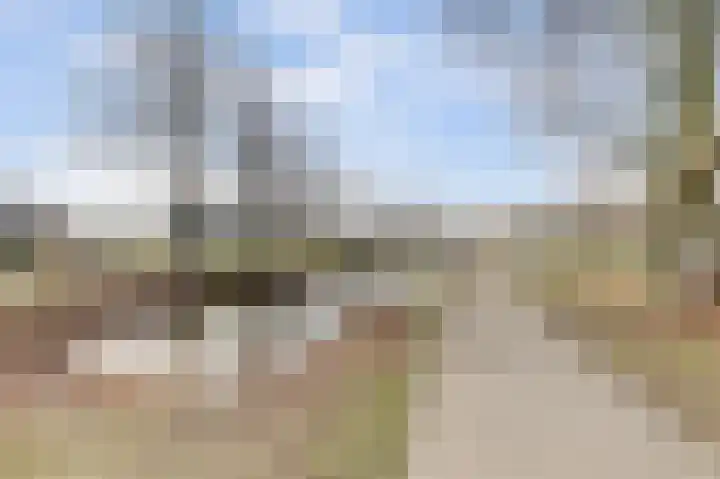 Hertogenlaan 320 Oosterhout thumbnail 27